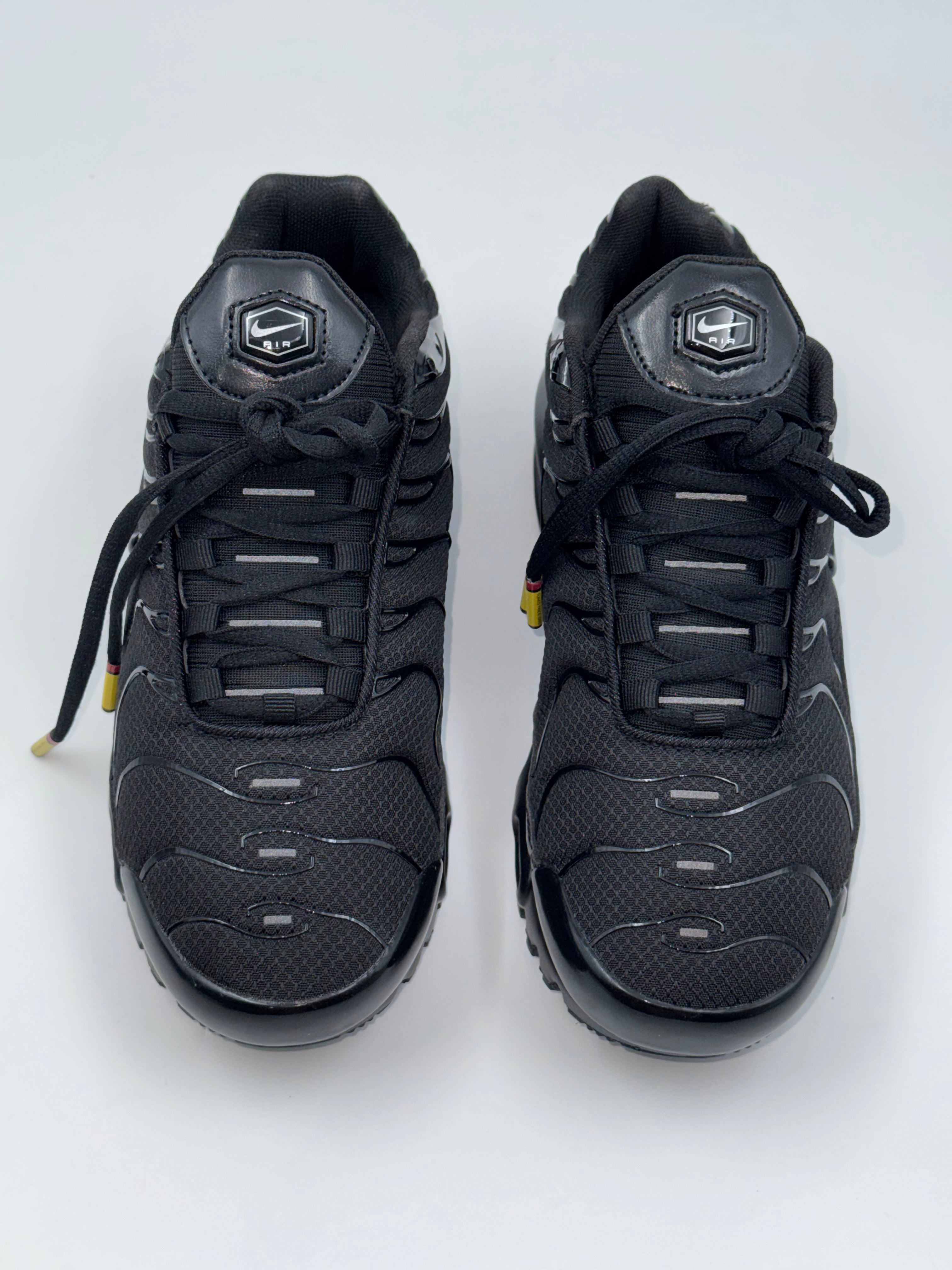 Nike Air Max Plus (TN) Triple Black