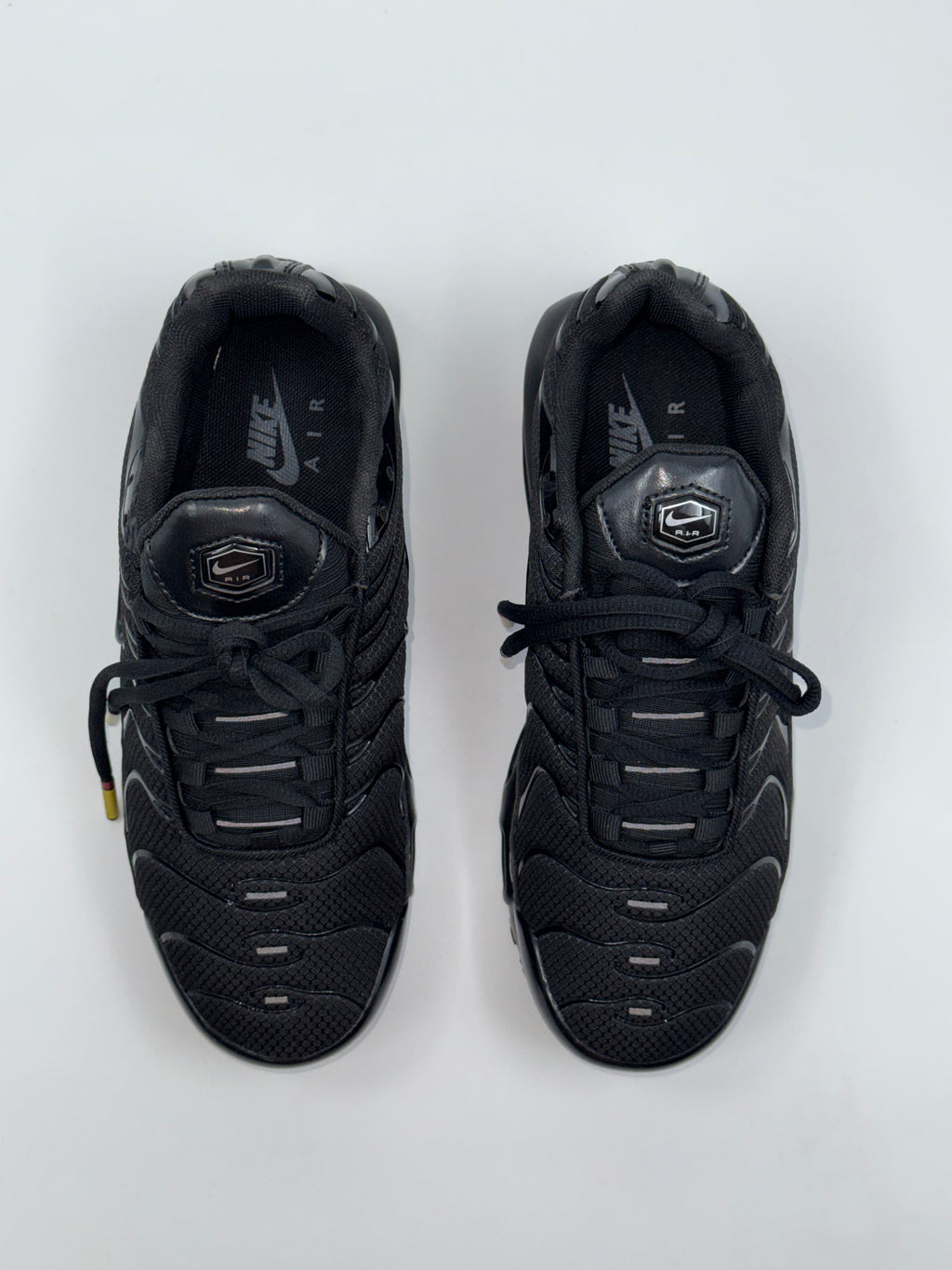 Nike Air Max Plus (TN) Triple Black
