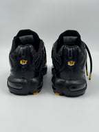 Nike Air Max Plus (TN) Triple Black