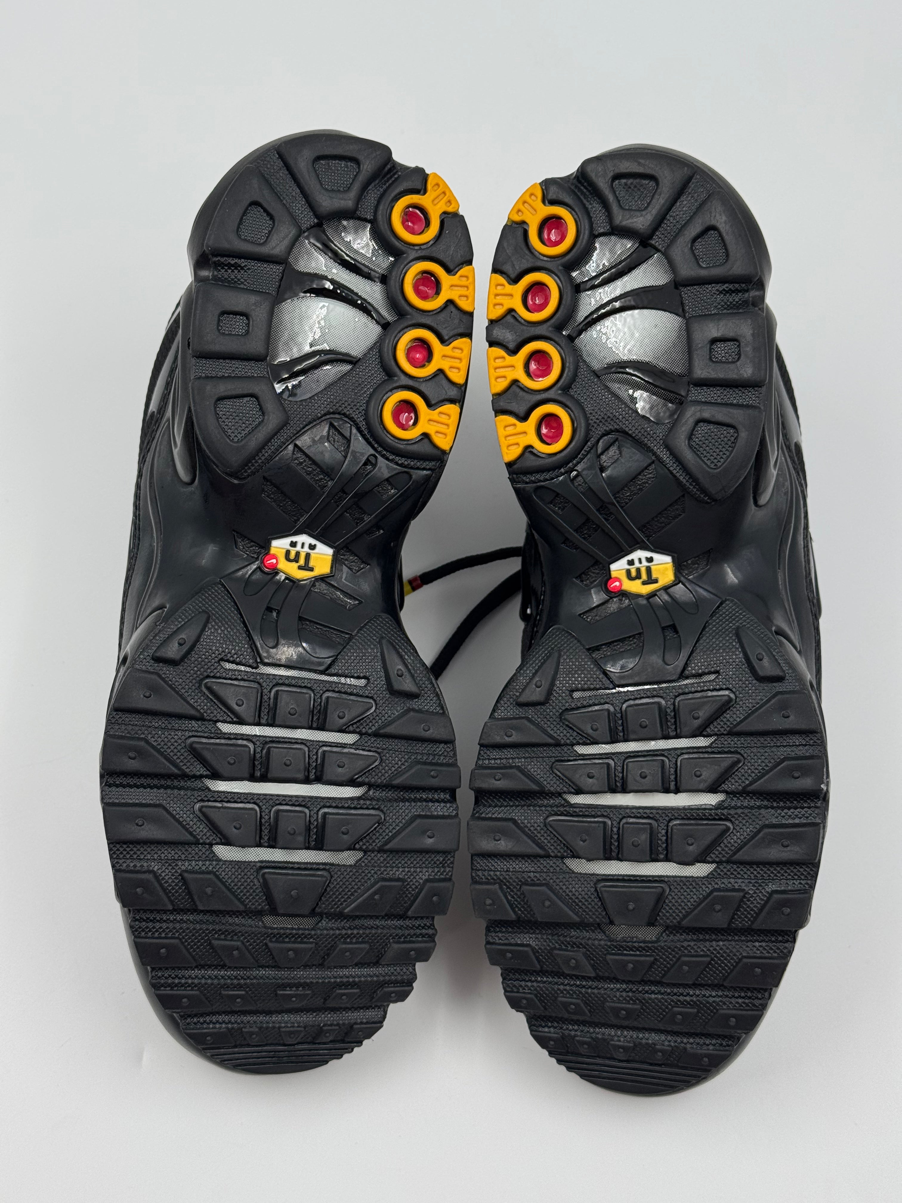 Nike Air Max Plus (TN) Triple Black